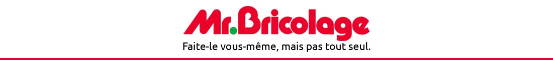 Logo Mr.Bricolage